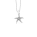 Deniz Yıldızı Gümüş Kolye GMS943