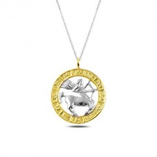 ​Gümüş Gold Yay Burcu Kolye