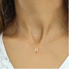 Gümüş Rose 3 Boyutlu N Harf Bayan Kolye