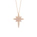 Gümüş Kutup Yıldızı Kolye GMS1396
