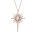 Kutup Yıldızı Rose Renk Gümüş Kolye GMS2010
