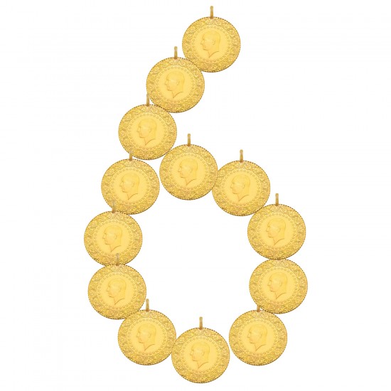 6 Yeni Ziynet Tam Altın