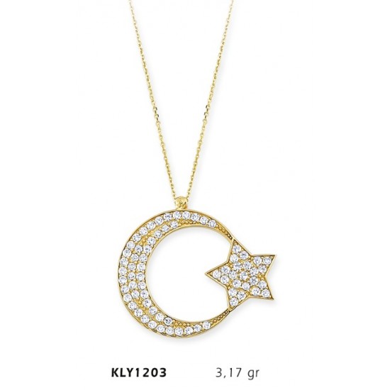 14 Ayar Altın Ayyıldız Kolye KLY1203