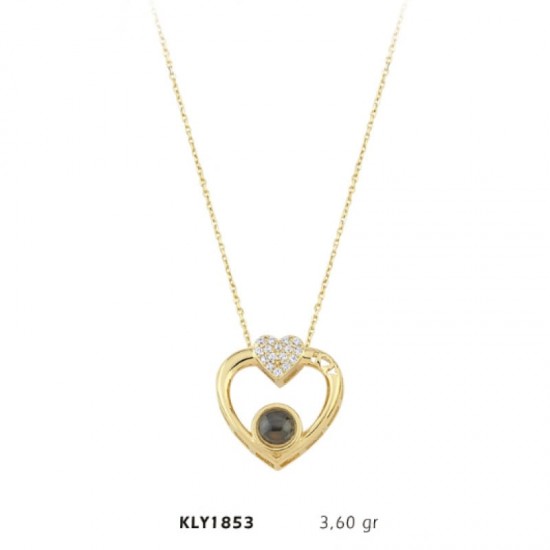 14 Ayar Altın 100 Dilde Seni Seviyorum Taşlı Kalp Kolye KLY1853