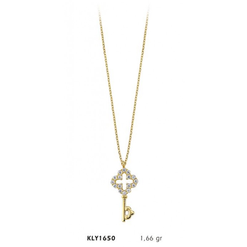 14 Ayar Altın Anahtar Kolye KLY1650