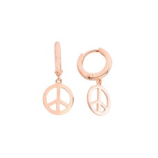 Barış Gümüş Küpe GMS542