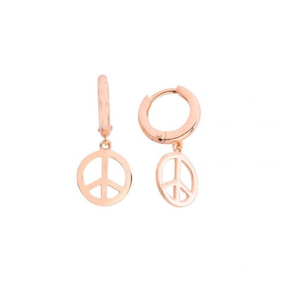 Barış Gümüş Küpe GMS542