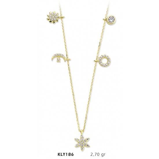 14 Ayar Altın Şans Kolyesi KLY186