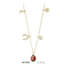 14 Ayar Altın Şans Kolyesi KLY203